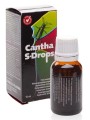 CANTHA-S-DROPS.jpg