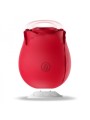 redrose-clitoral-sucker-with-magnetic-usb-base-silicone.jpg