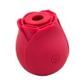 redrose-clitoral-sucker-with-magnetic-usb-base-silicone7.jpg