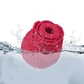redrose-clitoral-sucker-with-magnetic-usb-base-silicone9.jpg