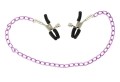 ZACISKI NA SUTKI Z ŁAŃCUSZKIEM NIPPLE CHAIN.jpg