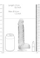 REA092TRA-lpr(7)(1).jpg