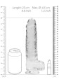 REA093TRA-lpr(5)(1).jpg