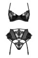 pol_pl_Luksusowa-bielizna-erotyczna-Rafaella-perfekcyjny-zestaw-841_8.jpg