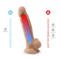 dildo-s-d-model-1-9 info.jpg