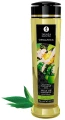 massage-oil-organica-exotic-green-tea 1.jpg