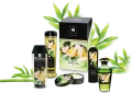 Shunga_Garden_Edo_Products 1.png