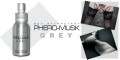 greyzdgorne.jpg